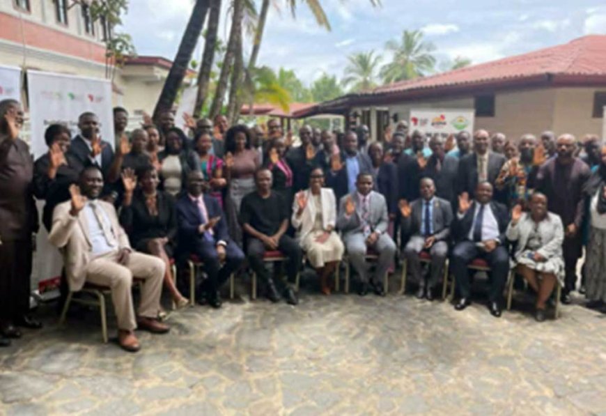 Illicit Financial Flows Training Underway