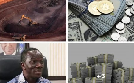 Paye Estimates Liberia’s Iron Ore Wealth at US$1.7 Trillion, Raises Concerns Over Resource Benefits