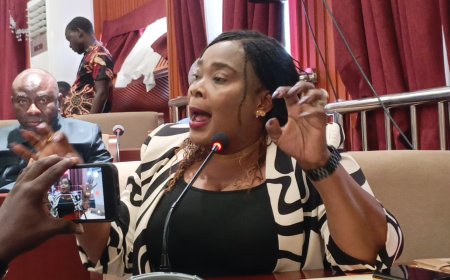 Rep. Briggs-Mensah Criticizes LDEA for Delaying Disclosure of Suspects in US$19M Drug Bust
