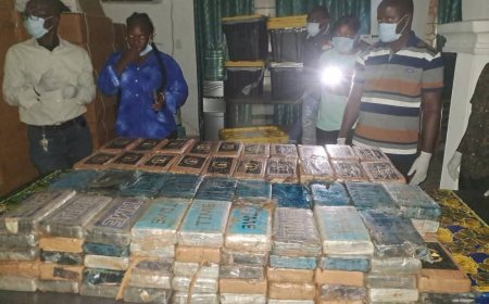 LDEA Yet to Identify Owners of US$12 Million Cocaine Seizure at RIA