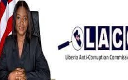 LACC Confirms Receipt of ANC Petition, Begins Preliminary Review Into Controversial Foya MRU Center Project